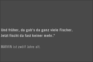 ... ist 12 Jahre alt. >>